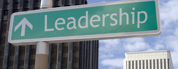 Leadership Development